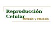 Reproducción Celular Mitosis y Meiosis. La Reproducción Celular es la base del crecimiento de los organismos