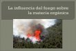Introducción Factores : Tipos de incendio Intensidad del fuego Temperatura Consecuencias: Efectos sobre la Orgánica Consecuencias indirectas Pregunta