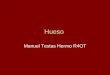 Hueso Manuel Testas Hermo R4OT. Generlidades 206 huesos Funciones Homeostasis del mineral Hematopoyesis Soporte mecanico Proteccion Determinacion de tributos