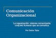 Comunicación Organizacional La organización: sistema comunicante, conjunto humano que se comunica. Por Carlos Tejos