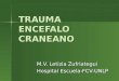 TRAUMA ENCEFALO CRANEANO M.V. Letizia Zufriategui Hospital Escuela-FCV-UNLP
