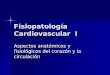 Fisiopatología Cardiovascular I Aspectos anatómicos y fisiológicos del corazón y la circulación