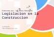 L/O/G/O Elaborado por: Ing Edson Rodriguez Legislacion en la Construccion 