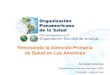 Renovando la Atención Primaria de Salud en Las Américas Armando Güemes Fortalecimiento Sistemas de Salud (HSS) OPS/OMS - ARGENTINA