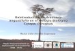 Master Interuniversitario en Restauración de Ecosistemas 2009 - 2010 Reintroducción de Araucaria angustifolia en el Refugio Biológico Carapa, Paraguay