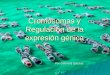 Cromosomas y Regulación de la expresión génica Por Gabriela Iglesias