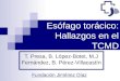 Esófago torácico: Hallazgos en el TCMD T. Presa, B. López-Botet, M.J Fernández, B. Pérez-Villacastín Fundación Jiménez Díaz