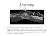 Swanoma Fig 27 Paciente varón de 80 años con tumor en codo derecho. En ecografía se aprecia una masa (*) de 8 x 4 cm de diámetro, ovalada, bien delimitada,