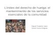 Límites del derecho de huelga: el mantenimiento de los servicios esenciales de la comunidad Miguel Paradela López Daniel García-Delgado