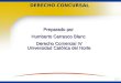 03/00/00 Page # 1 DERECHO CONCURSAL Preparado por Humberto Carrasco Blanc Derecho Comercial IV Universidad Católica del Norte