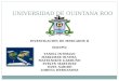 UNIVERSIDAD DE QUINTANA ROO INVESTIGACIÓN DE MERCADOS II EQUIPO: YANELI INTERIAN MARIAMAR OLVERA MAYELNIKTE GARDUÑO EVELYN MARTINEZ ITZEL SABIDO LORENA