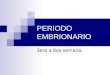 PERIODO EMBRIONARIO 3era a 8va semana.. Características del período embrionario FORMACION DE ORGANOS Y TEJIDOS ESPECIFICOS A PARTIR DE LAS TRES HOJAS