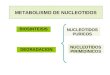 METABOLISMO DE NUCLEOTIDOS BIOSINTEISIS DEGRADACION NUCLEOTIDOS PURICOS NUCLEOTIDOS PIRIMIDINICOS