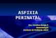 ASFIXIA PERINATAL Dra. Carolina Asenjo P. Neonatología Instituto de Pediatría, UACH
