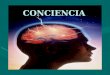 CONCIENCIA. Definición La conciencia es la noción que tenemos de las sensaciones, pensamientos y sentimientos que se experimentan en un momento determinado.La