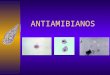 ANTIAMIBIANOS. AMIBIASIS Entamoeba histolytica. Presente en el tracto GI del 10 al 20% de la población mundial. 90% asintomáticas