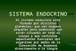 SISTEMA ENDOCRINO El sistema endocrino esta formado por distintas glándulas, que son órganos pequeños pero poderosos que están situados en todo el cuerpo
