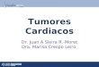 Dr. Juan A Sieira R.-Moret Dra. Marisa Crespo Leiro Tumores Cardiacos
