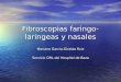 Fibroscopias faringo-laringeas y nasales Mariano Garcia-Giralda Ruiz Servicio ORL del Hospital de Baza