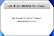 CATETERISMO VESICAL BERNARDO MONTOYA E. ENFERMERO USC