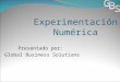 Experimentación Numérica Presentado por: Global Business Solutions