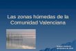 Las zonas húmedas de la Comunidad Valenciana Manuel Gutiérrez Noviembre de 2005