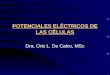 POTENCIALES ELÉCTRICOS DE LAS CÉLULAS Dra. Oris L. De Calvo, MSc