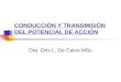 CONDUCCIÓN Y TRANSMISIÓN DEL POTENCIAL DE ACCIÓN Dra. Oris L. De Calvo MSc