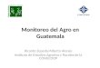 Monitoreo del Agro en Guatemala Ricardo Zepeda/Alberto Alonso Instituto de Estudios Agrarios y Rurales de la CONGCOOP