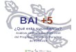 BAI +5 ¿Qué esta sucediendo? Análisis comparativo 2005-2010 del Progreso Genuino y Duradero de EUSKADI