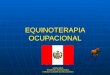 Equinoterapia to