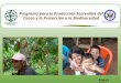 Enero 2010 Programa para la Producción Sostenible del Cacao y la Protección a la Biodiversidad