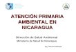 ATENCIÓN PRIMARIA AMBIENTAL EN NICARAGUA Organización Panamericana de la Salud Dirección de Salud Ambiental Ministerio de Salud de Nicaragua Ing. Maritza