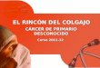 Curso 2011-12 EL RINCÓN DEL COLGAJO CÁNCER DE PRIMARIO DESCONOCIDO
