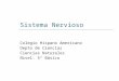 Sistema Nervioso Colegio Hispano Americano Depto de Ciencias Ciencias Naturales Nivel: 5º Básico
