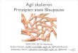 Agil skalieren - Prinzipien statt Blaupause (SEACON 2014) von Stefan Roock und Sebastian Sanitz