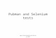 Pubman and selenium_tests
