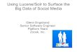 Using Lucene/Solr to Surface the Big Data of Social Media