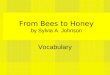 From Bees to Honey Vocabulary