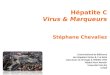 Chevaliez s  virus hcv+marqueurs2014