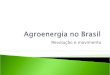 Agroenergia No Brasil