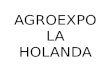 Agroexpo La Holanda