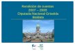 Rendición de Cuentas 2008 - Diputada Griselda Baldata