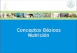 Conceptos Básicos Nutrición. 1. Conceptos básicos Alimentación Consiste en obtener del entorno productos naturales o transformados que conocemos con el