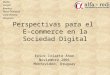 Muñiz, Forsyth, Ramirez, Perez-Taiman & Luna-Victoria Abogados Perspectivas para el E-commerce en la Sociedad Digital Erick Iriarte Ahon Noviembre 2001