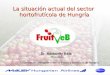 Sector hortofrutícola en Hungría