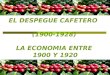 EL DESPEGUE CAFETERO (1900-1928) LA ECONOMIA ENTRE 1900 Y 1920