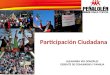 ALEJANDRA VIO GONZÁLEZ GERENTE DE COMUNIDAD Y FAMILIA Participación Ciudadana