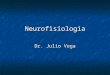 Neurofisiologia Dr. Julio Vega. NEUROFISIOLOGÍA DEL MOVIMIENTO ESTRUCTURA DEL SISTEMA NERVIOSO ORGANIZACIÓN FUNCIONAL DEL SISTEMA MOTOR