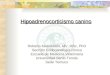 Hipoadrenocorticismo canino Roberto Matamoros, MV, MSc, PhD Sección Endocrinología clínica Escuela de Medicina Veterinaria Universidad Santo Tomás Sede